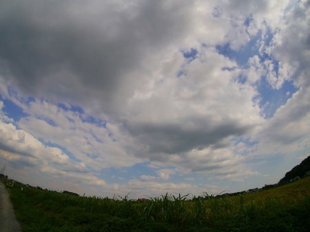 P1070999.jpg