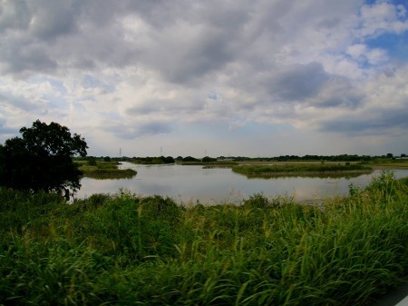 P1080007.jpg