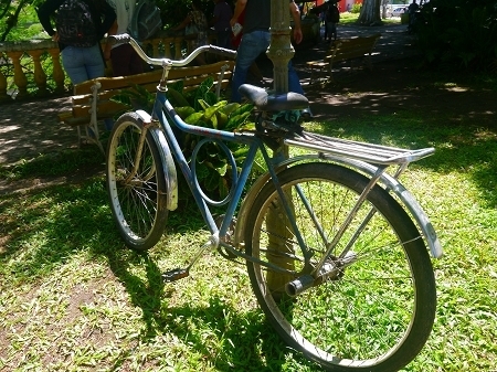 P1080884.jpg